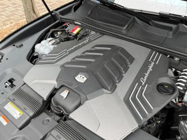 Urus