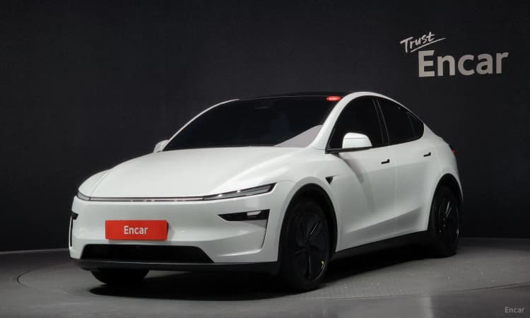 Model Y