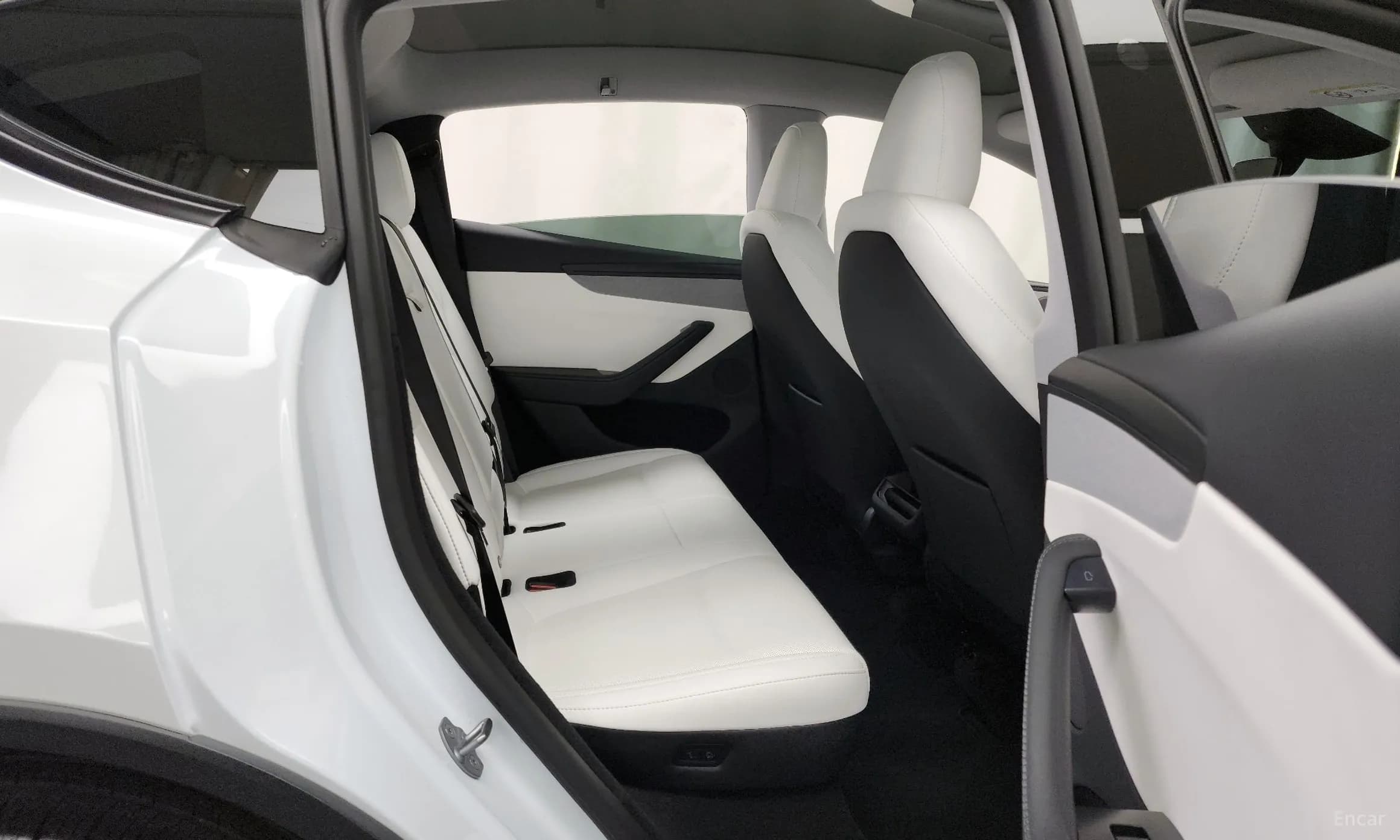 Model Y