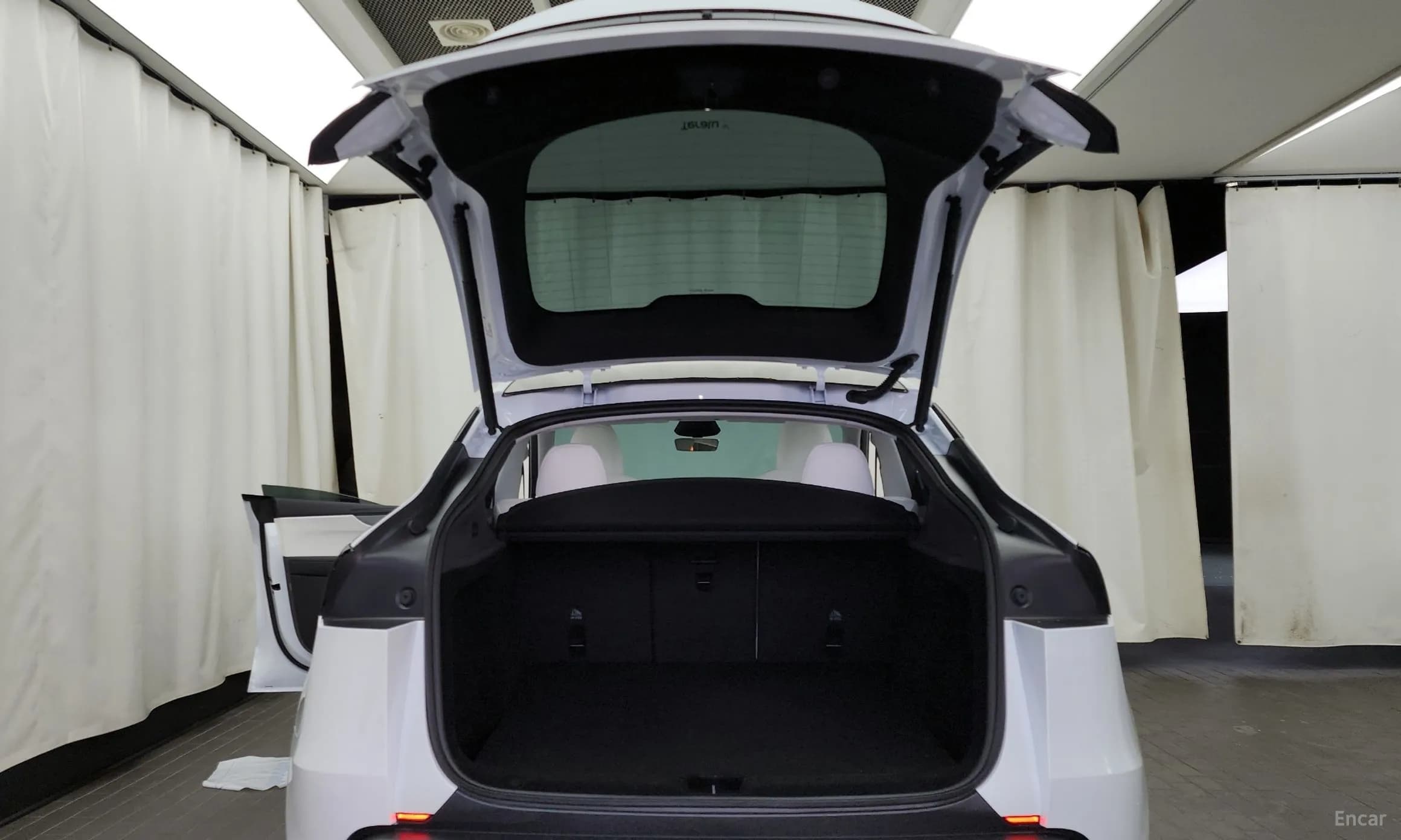 Model Y