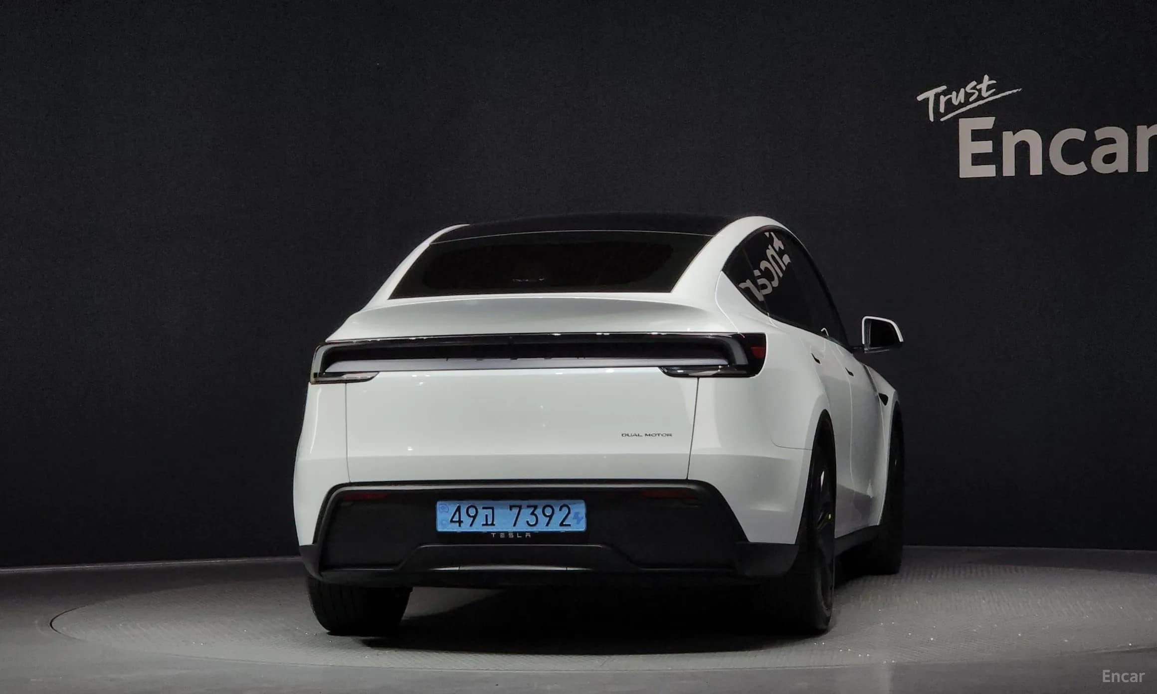 Model Y