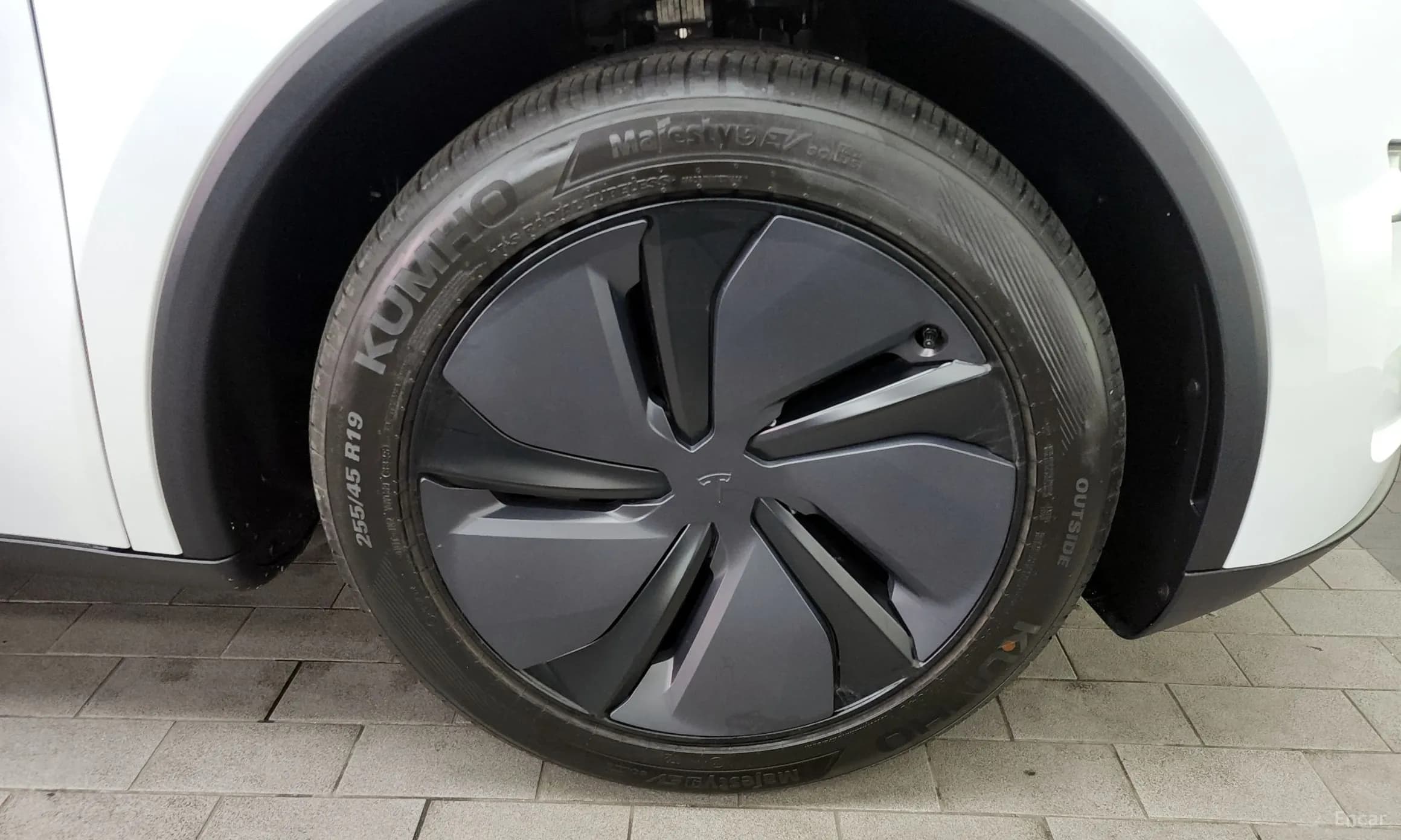 Model Y