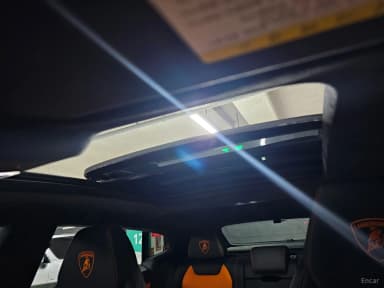 Urus