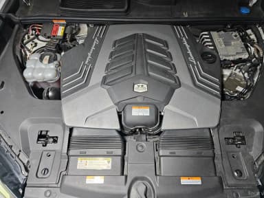 Urus