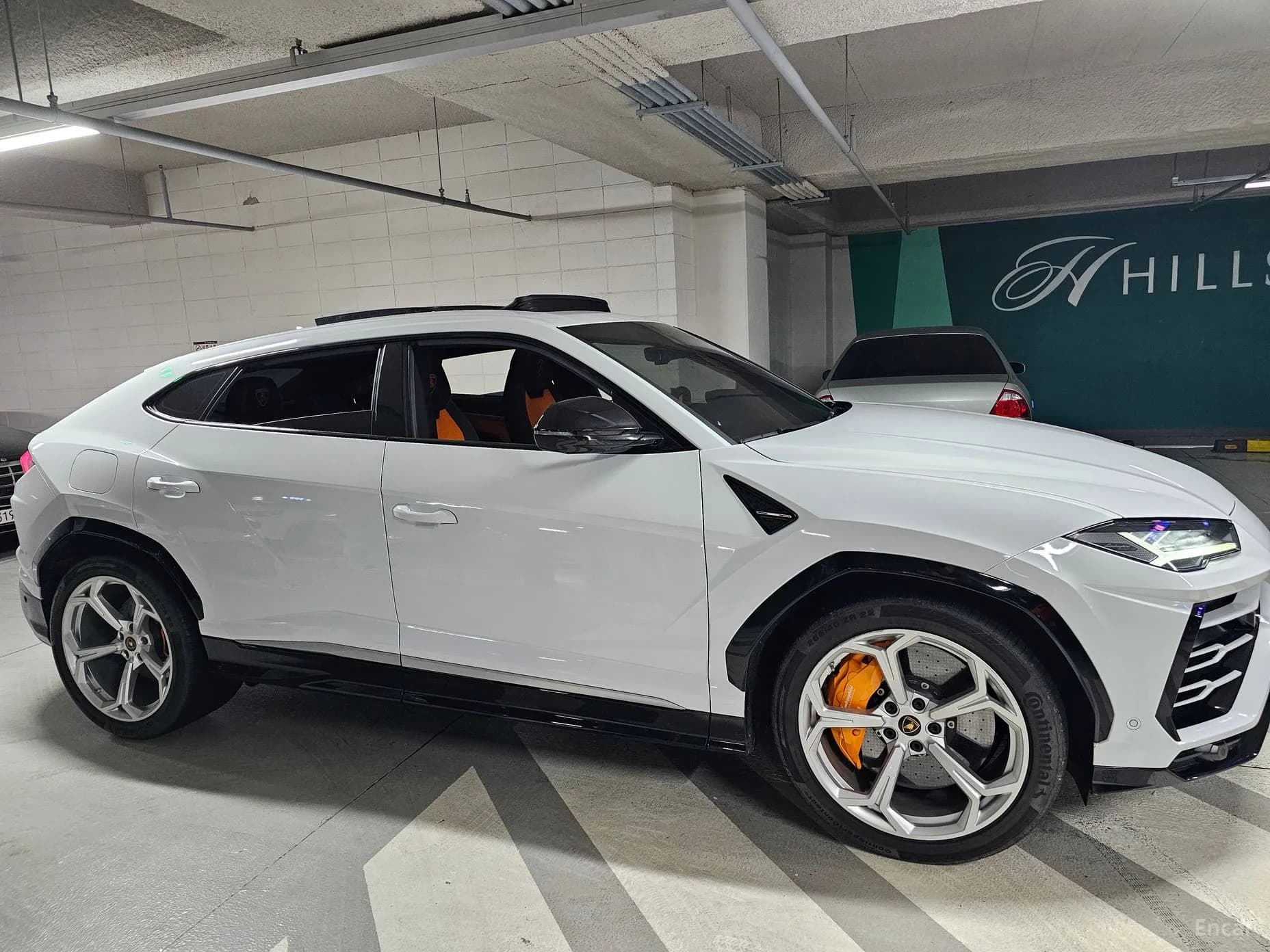 Urus