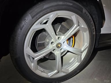 Urus