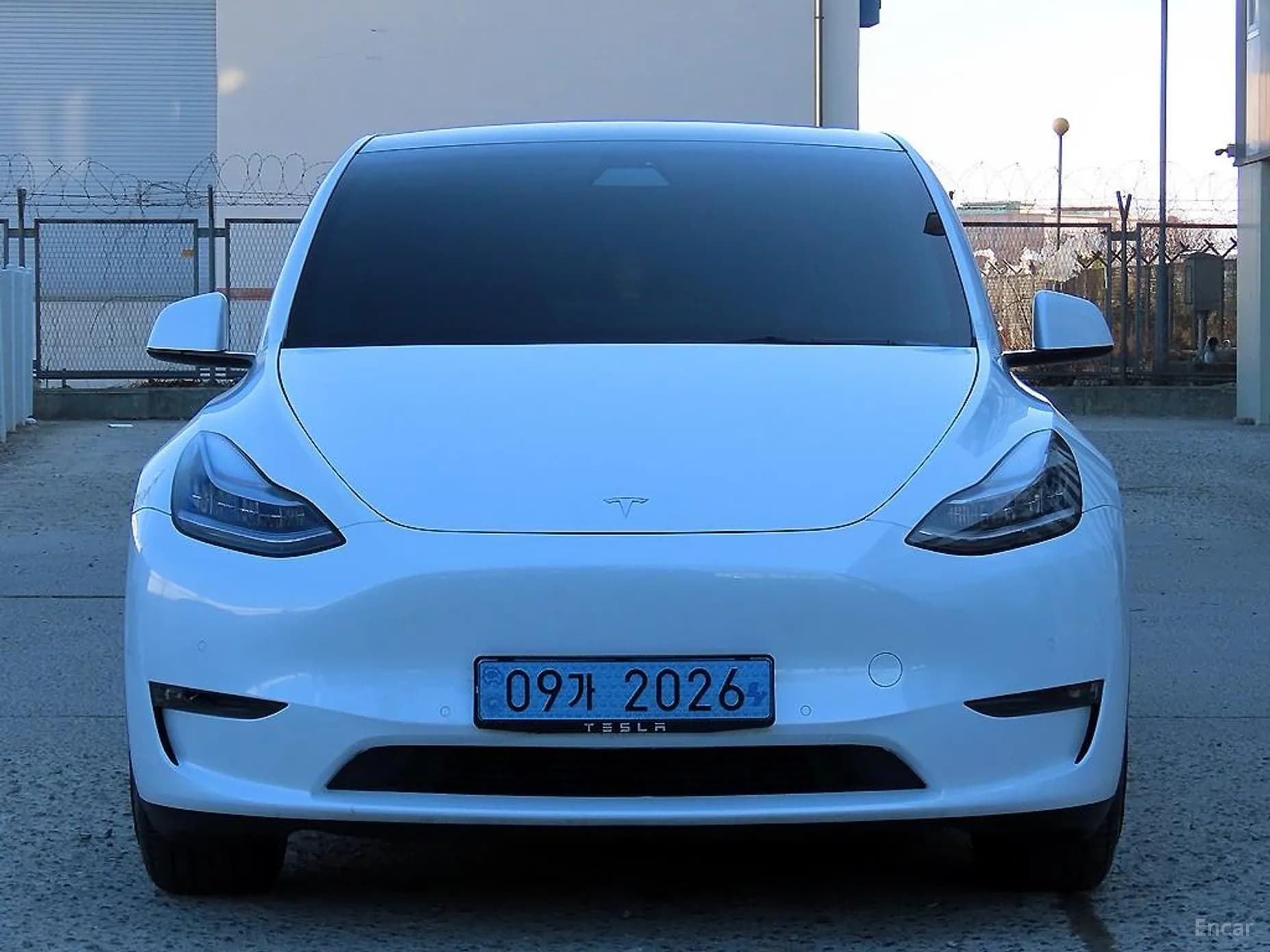 Model Y