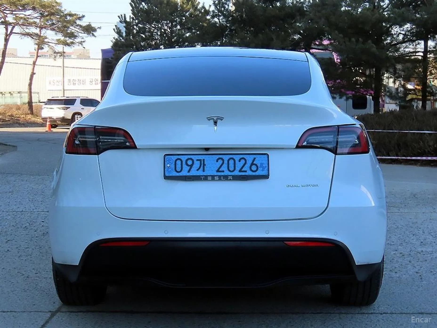 Model Y