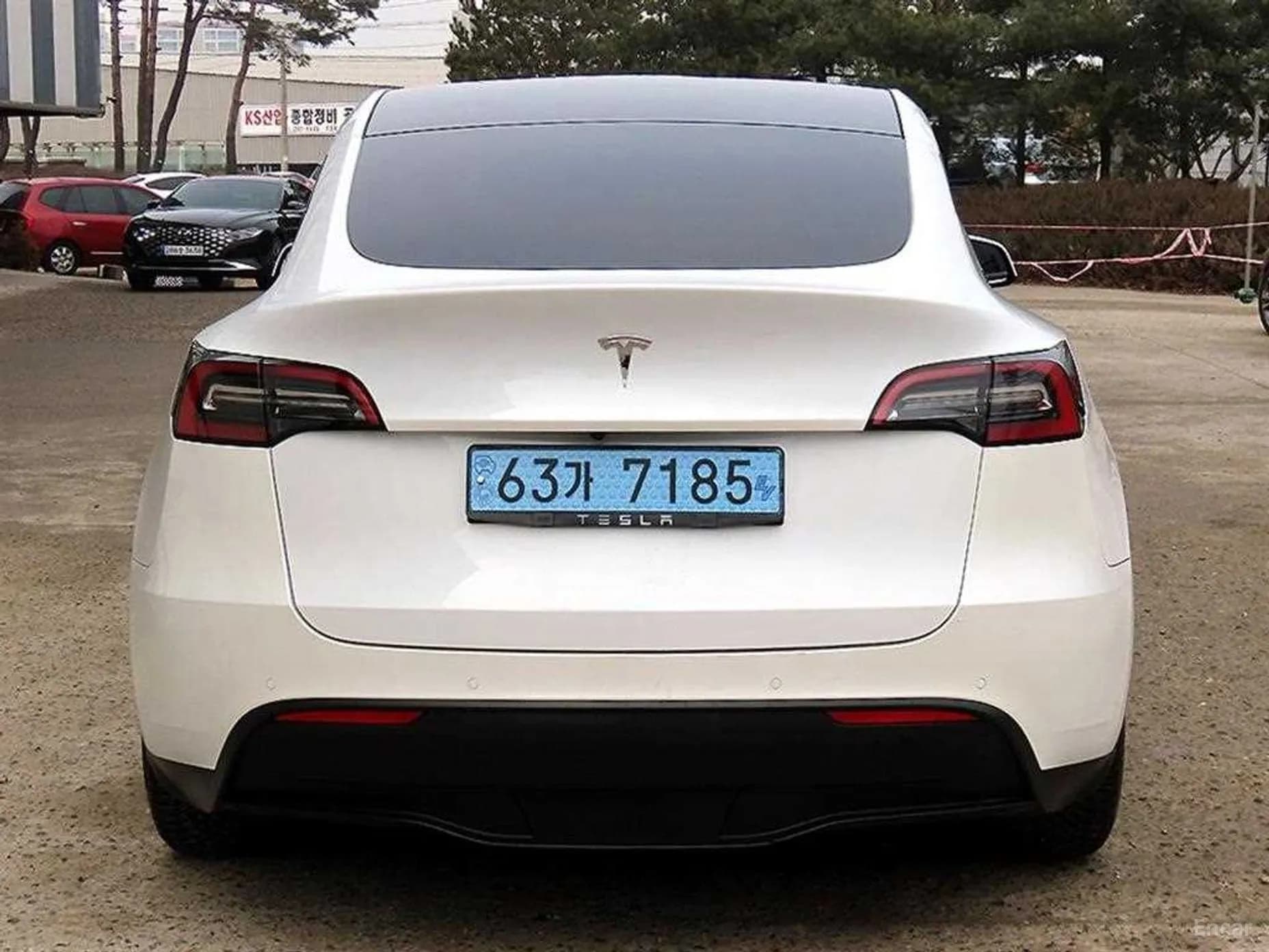 Model Y