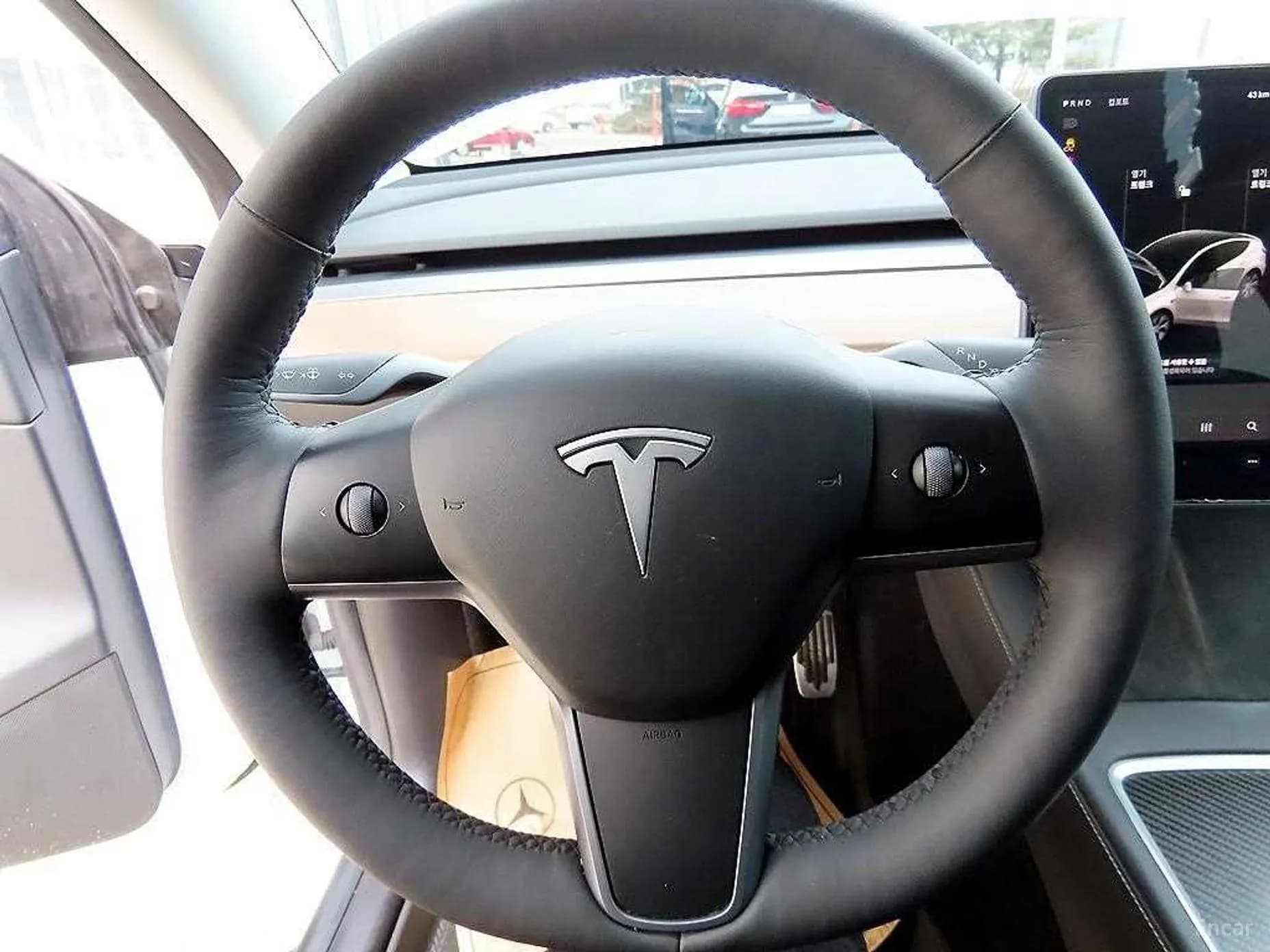 Model Y