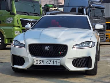 XF (x260)