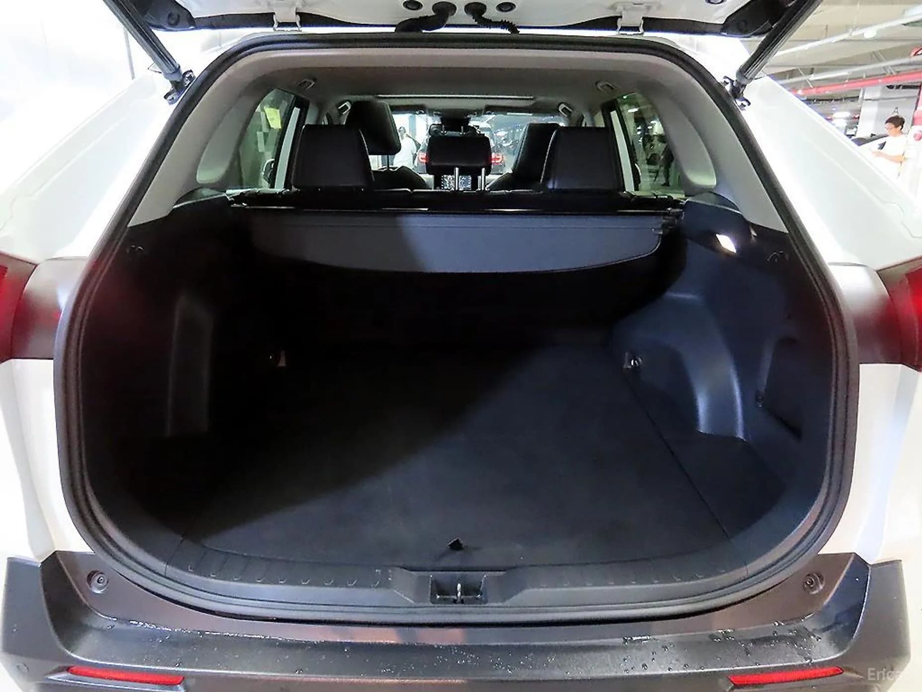 RAV4 5th Generation