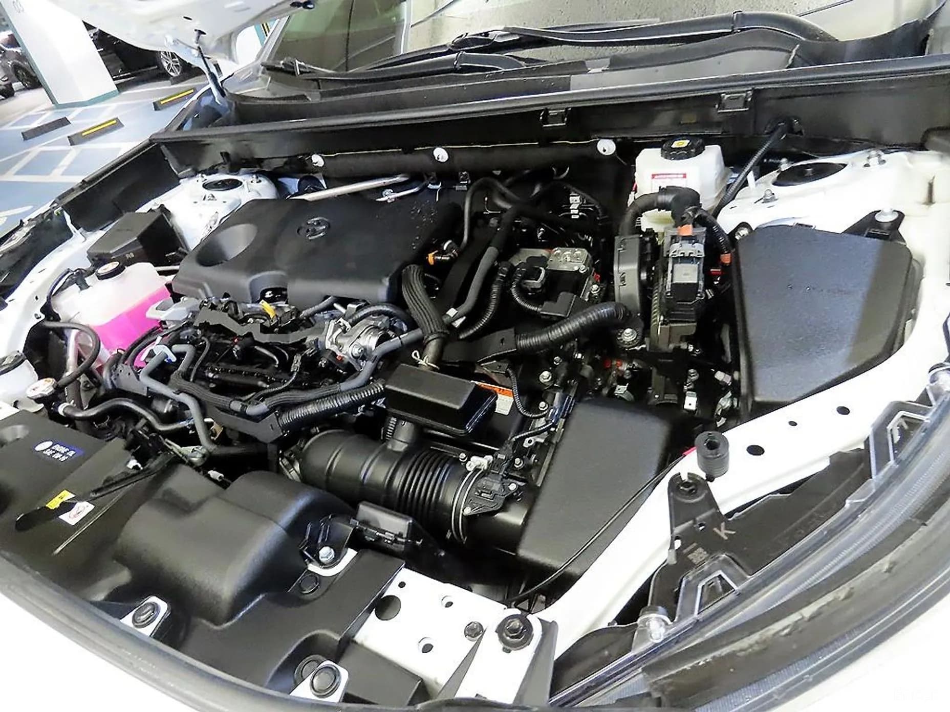 RAV4 5th Generation