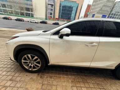 NX300h
