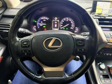 NX300h