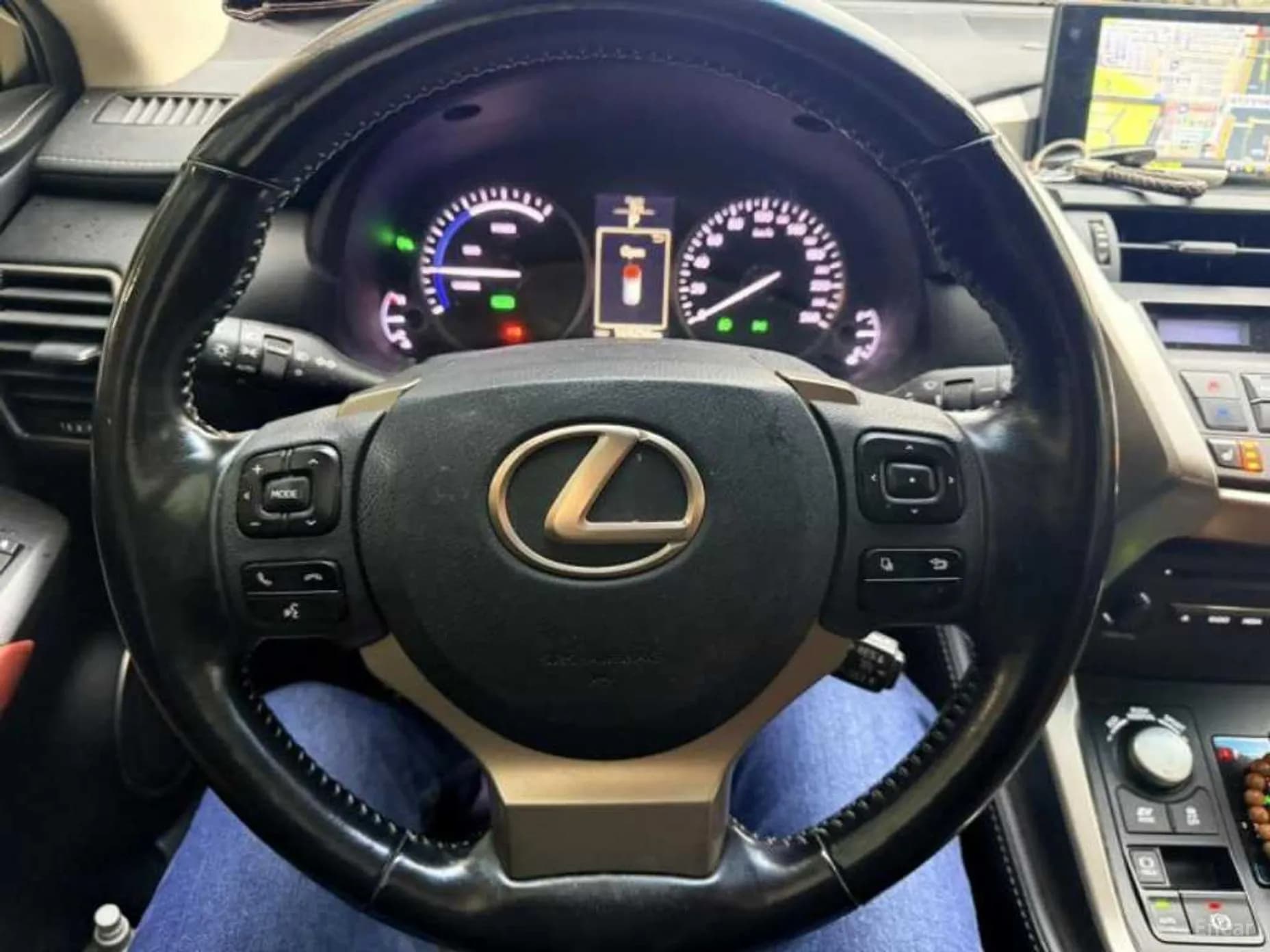 NX300h