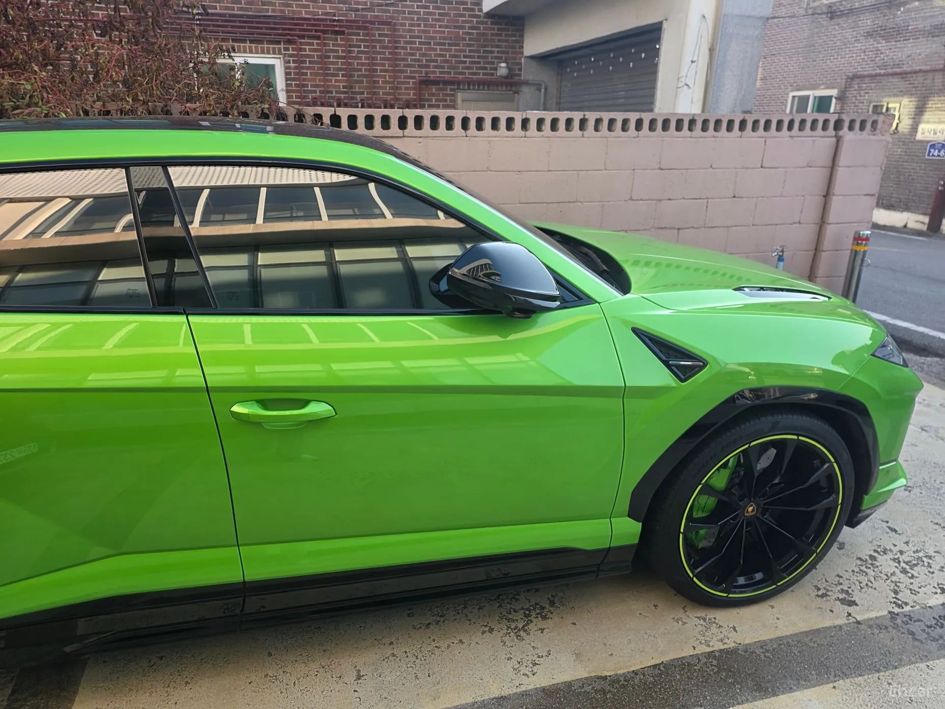 Urus