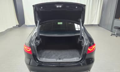 XF (x260)