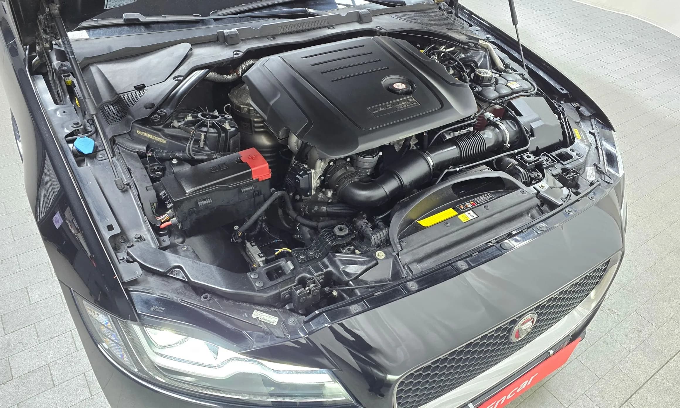 XF (x260)