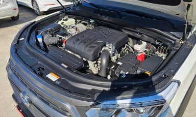 Rexton Sports