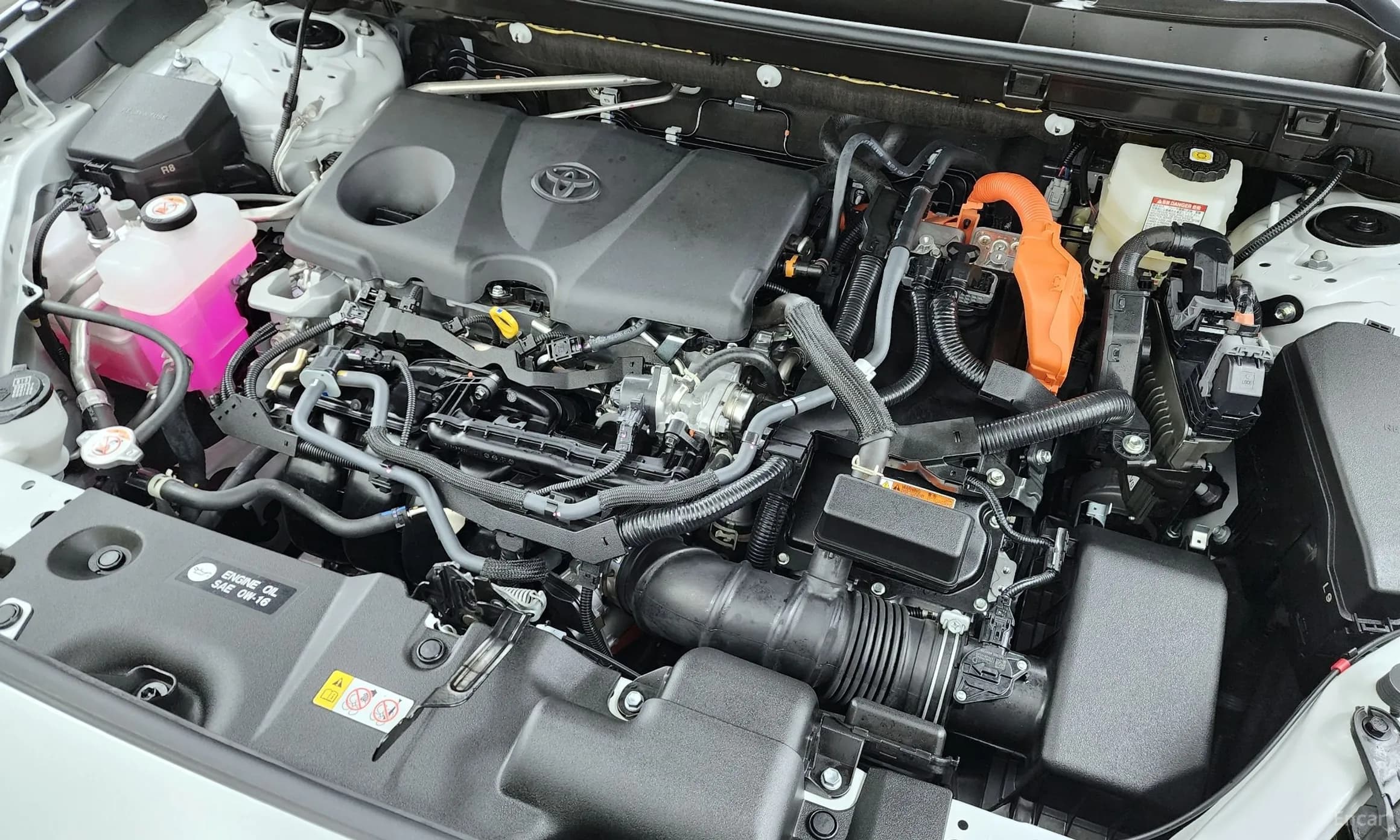 RAV4 5th Generation