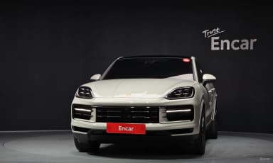 Cayenne (PO536)