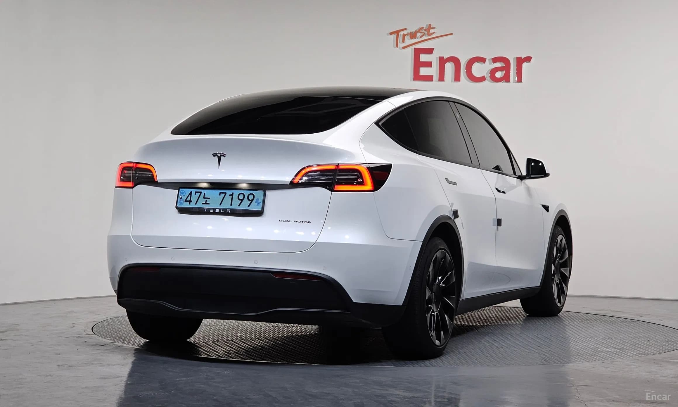 Model Y