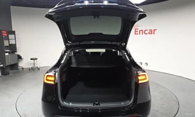 Model Y