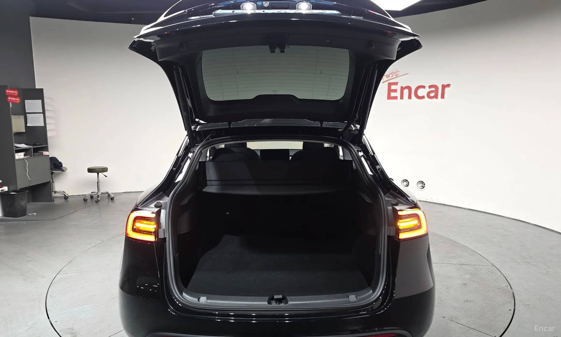 Model Y