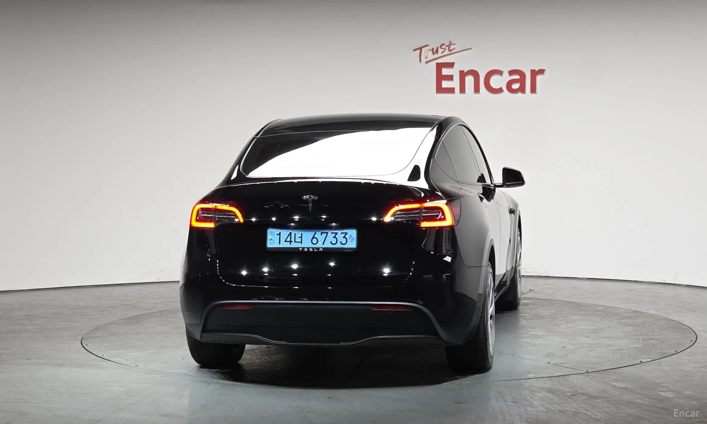 Model Y