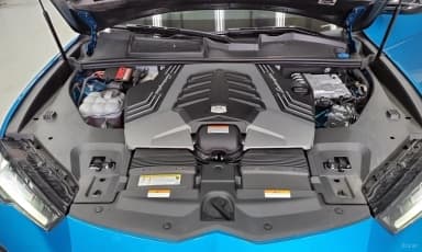 Urus