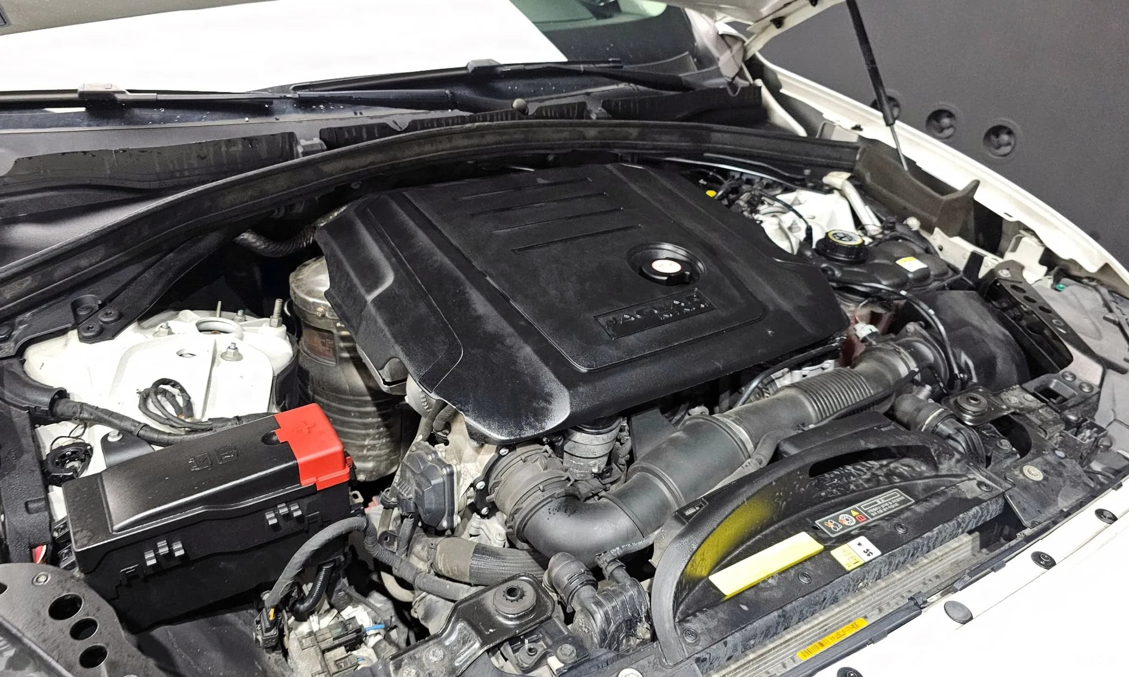 F-PACE