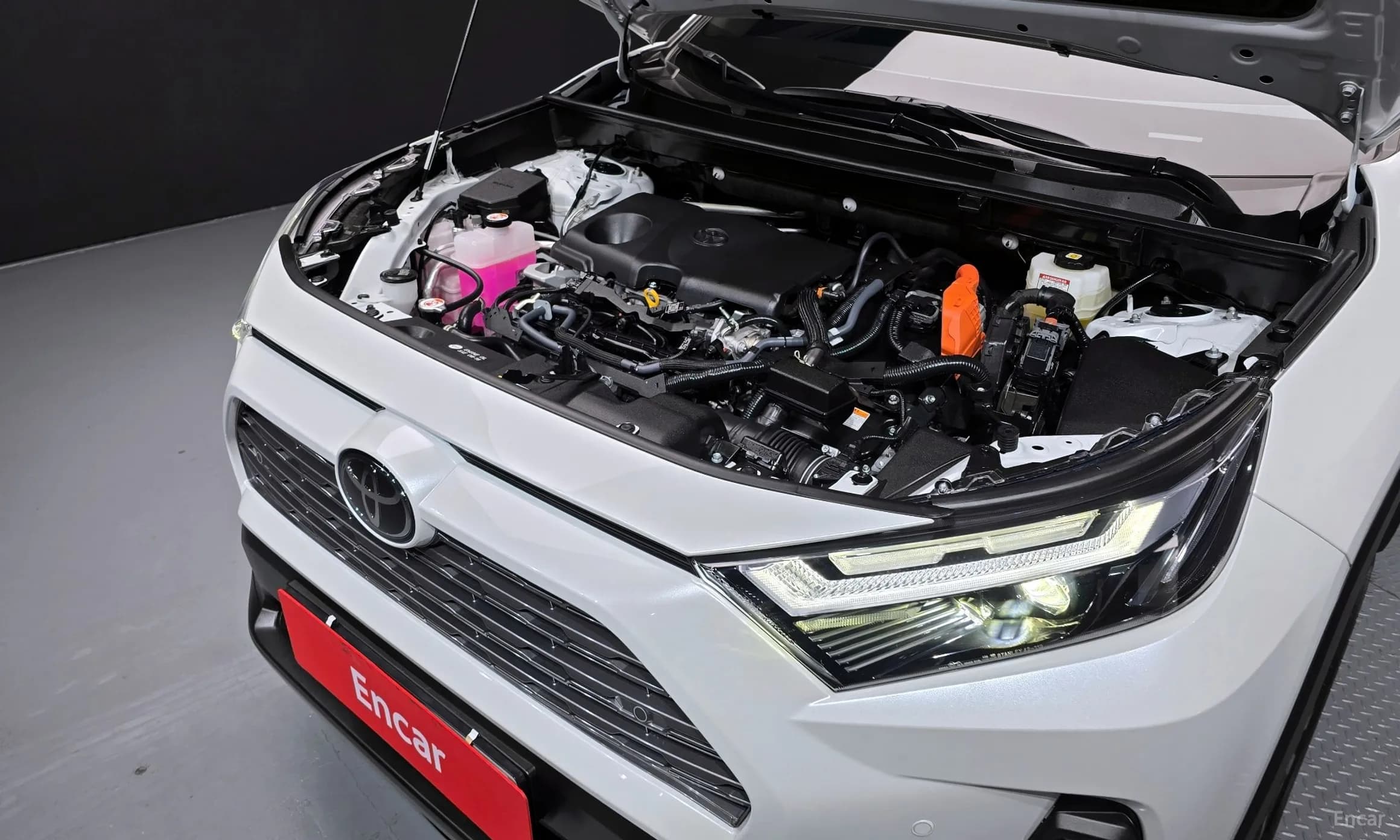 RAV4 5th Generation