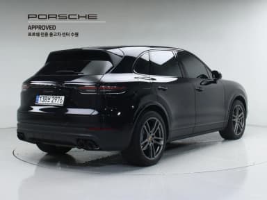 Cayenne (PO536)
