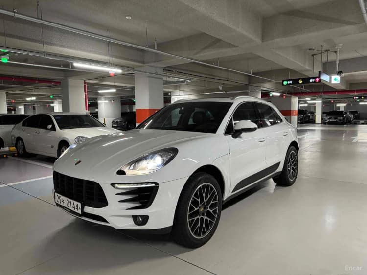 Macan