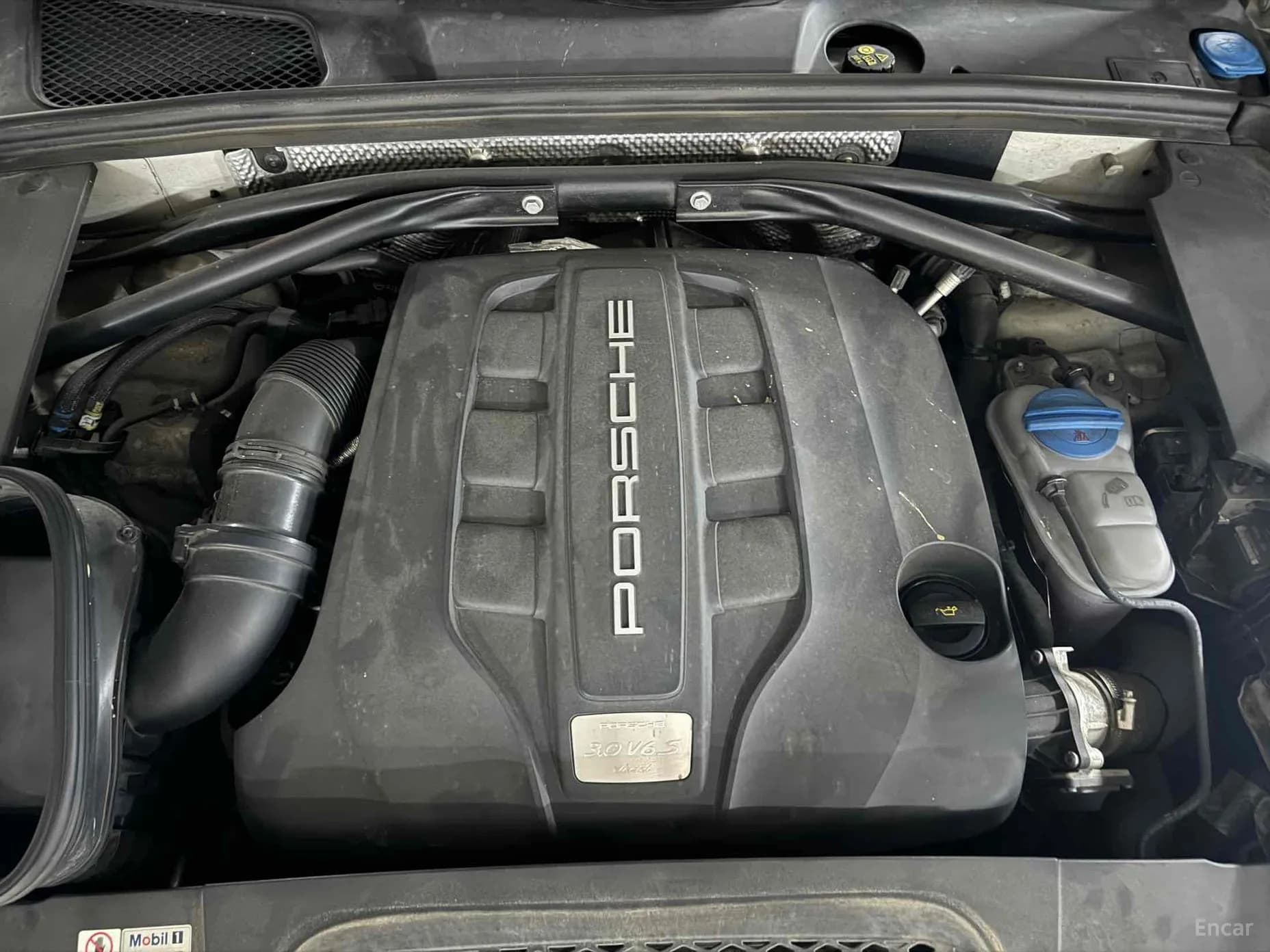 Macan