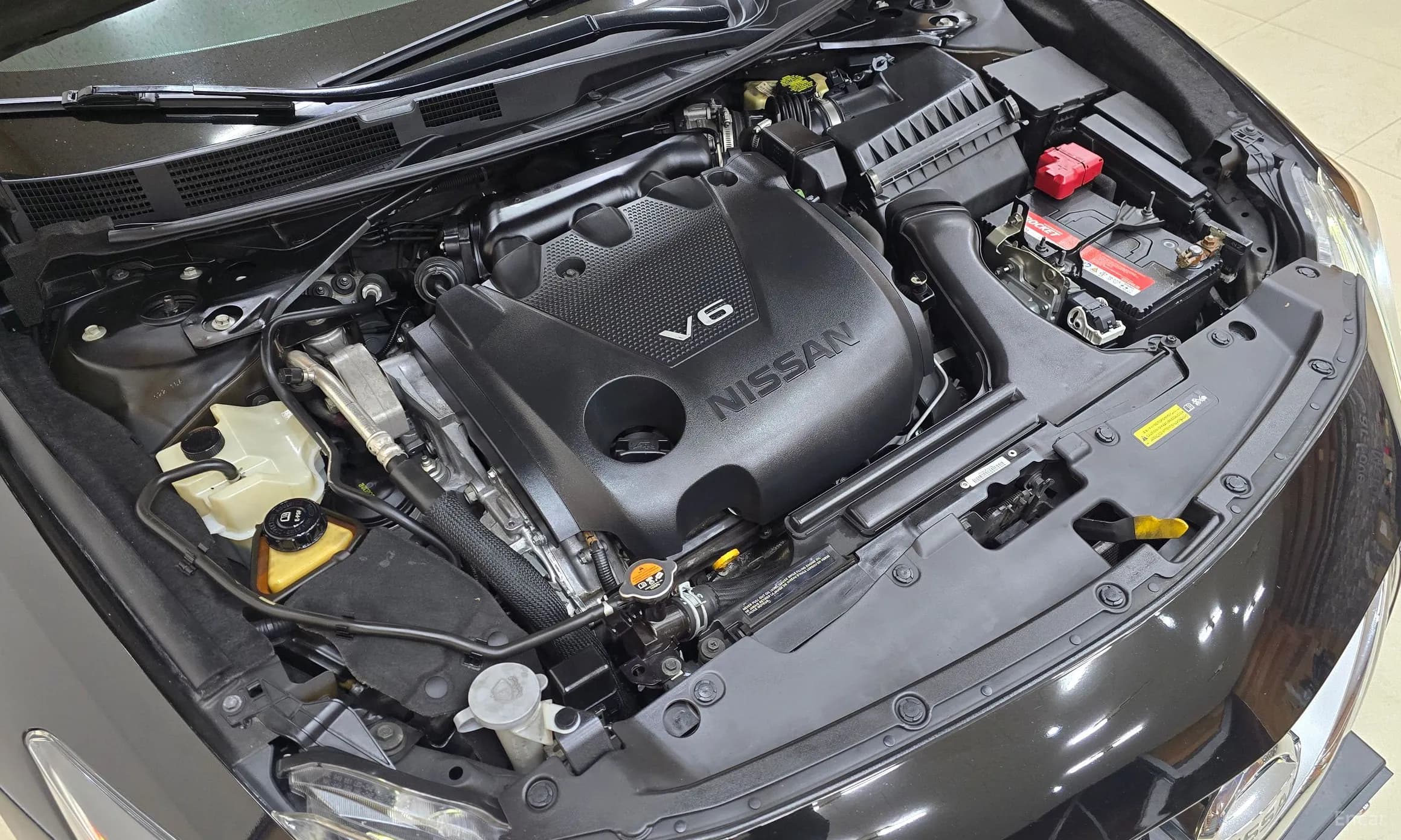 Maxima (A36)