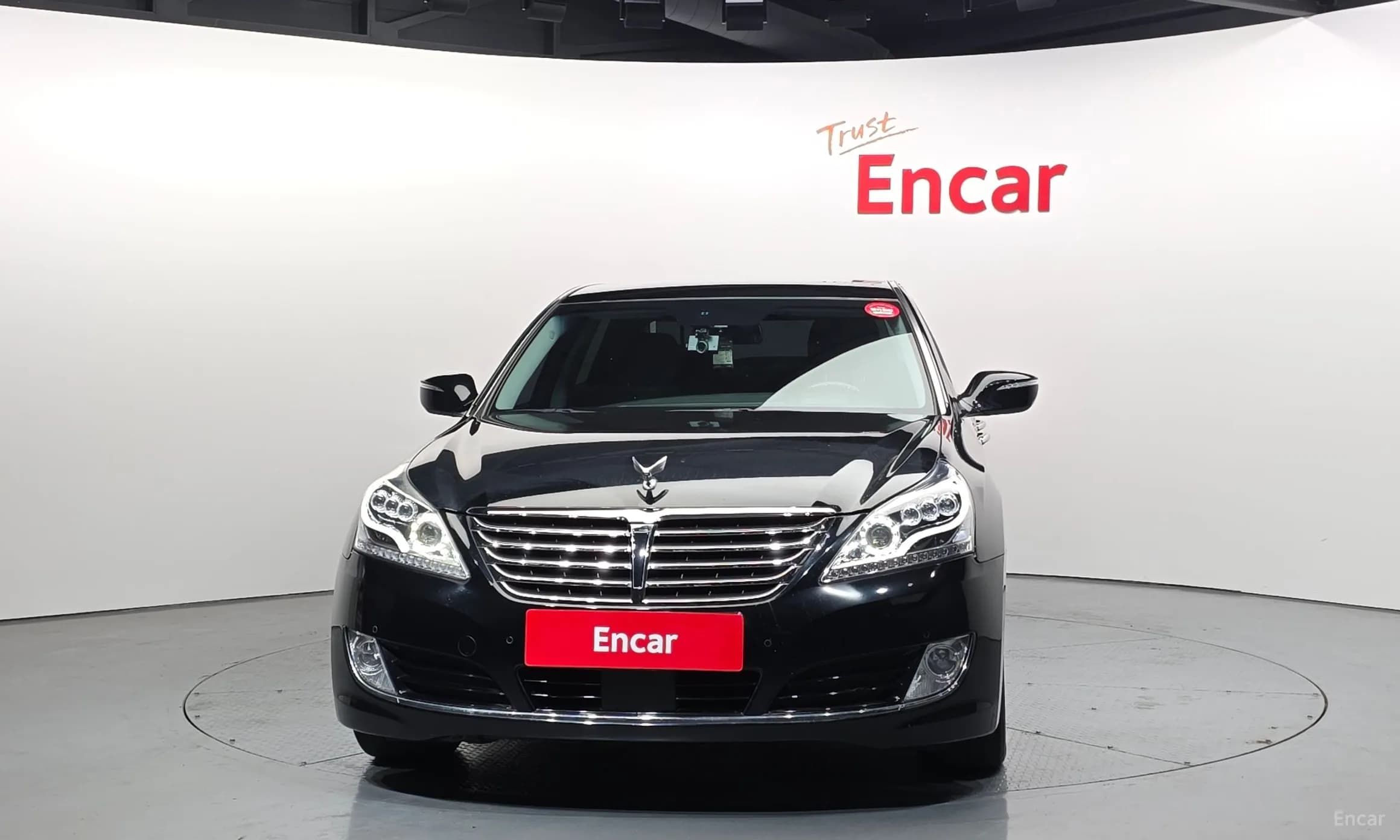 Equus (new)