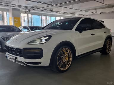 Cayenne (PO536)