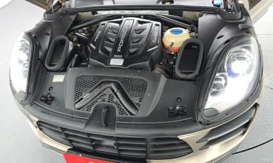 Macan