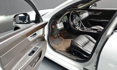 XF (x260)