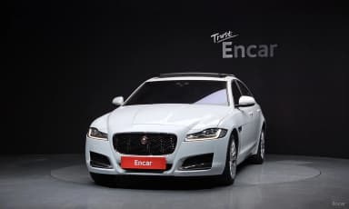 XF (x260)