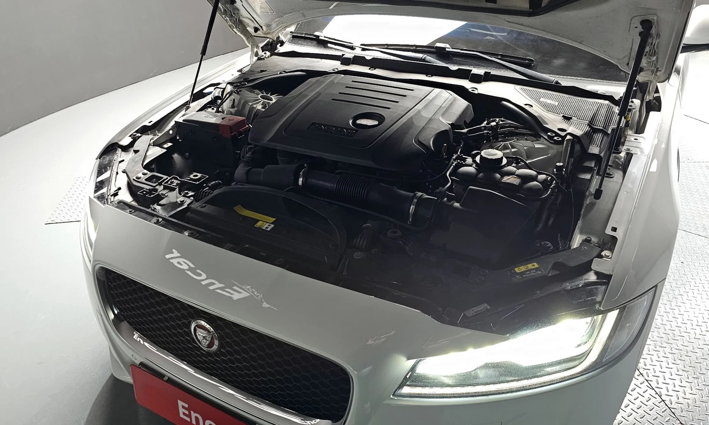 XF (x260)