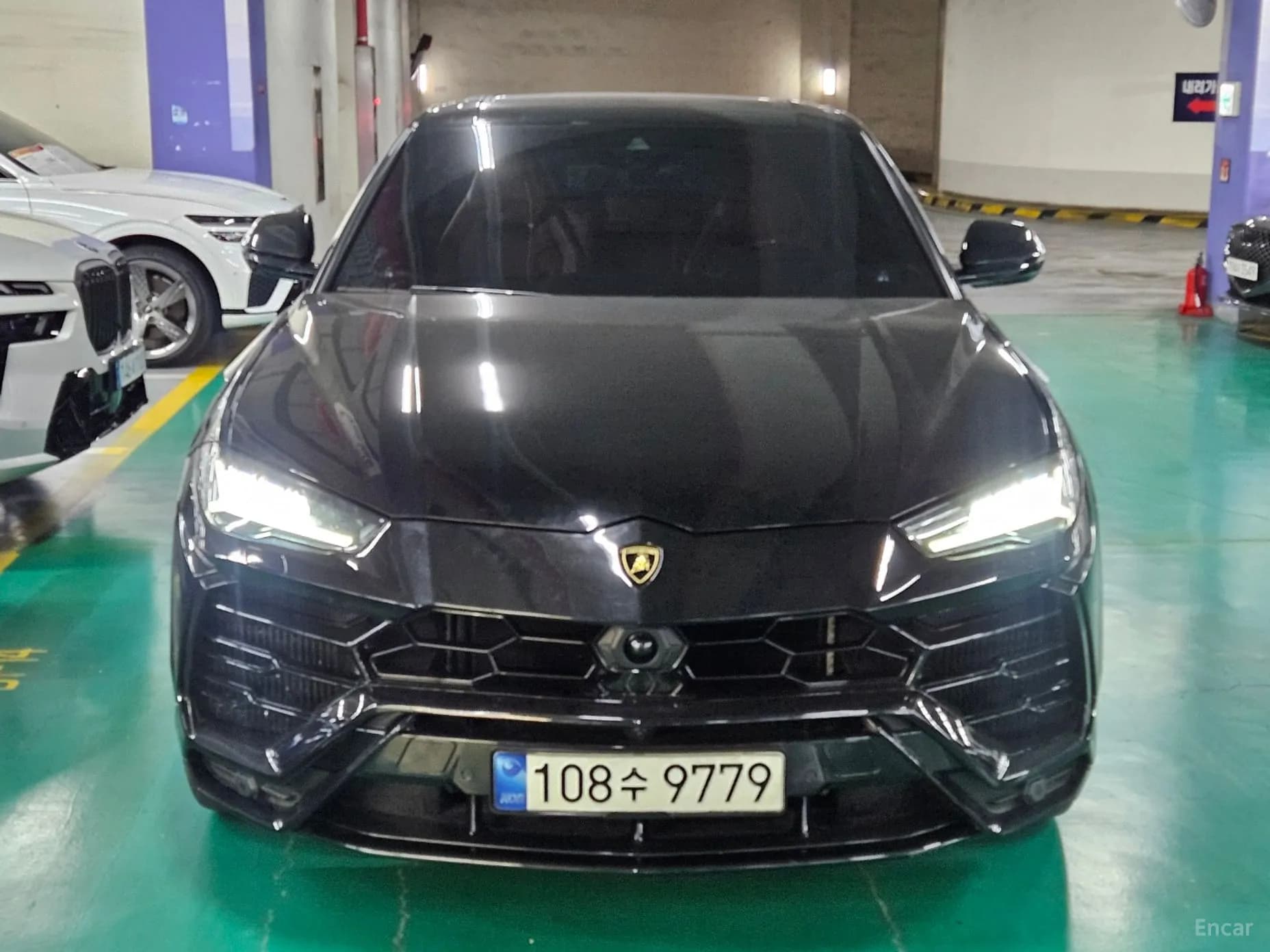 Urus