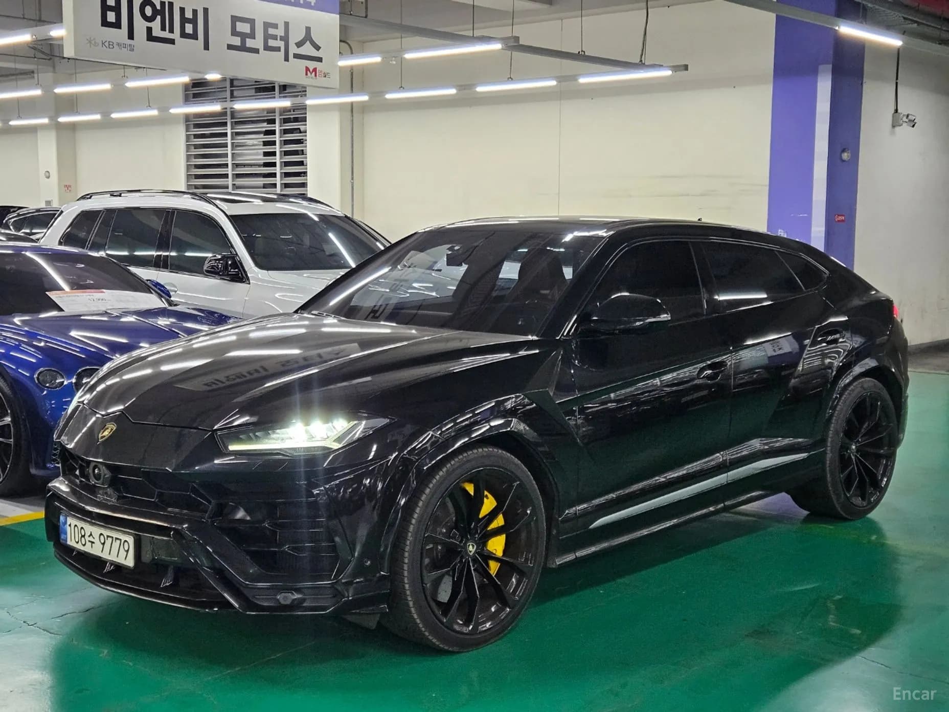 Urus