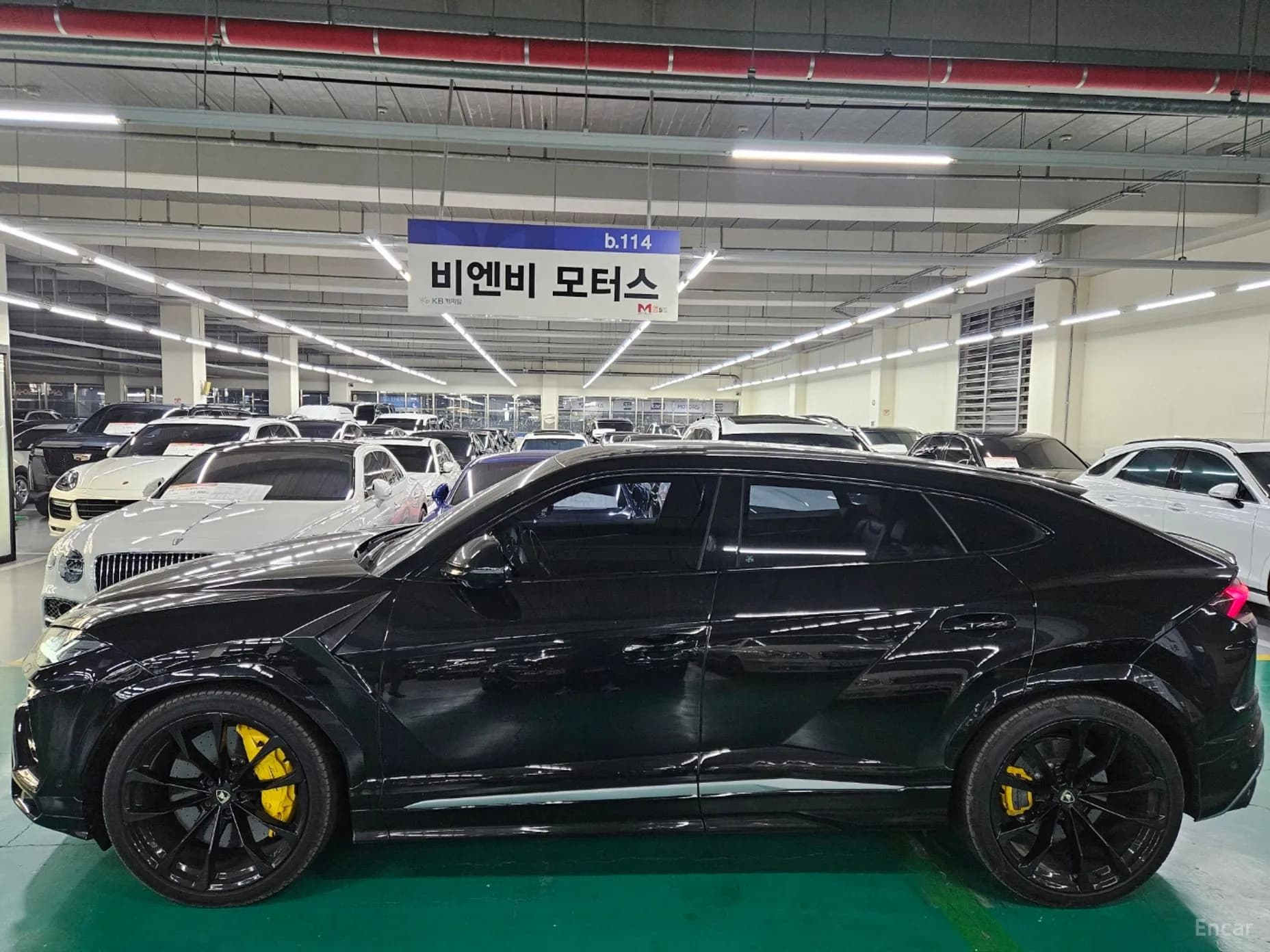 Urus