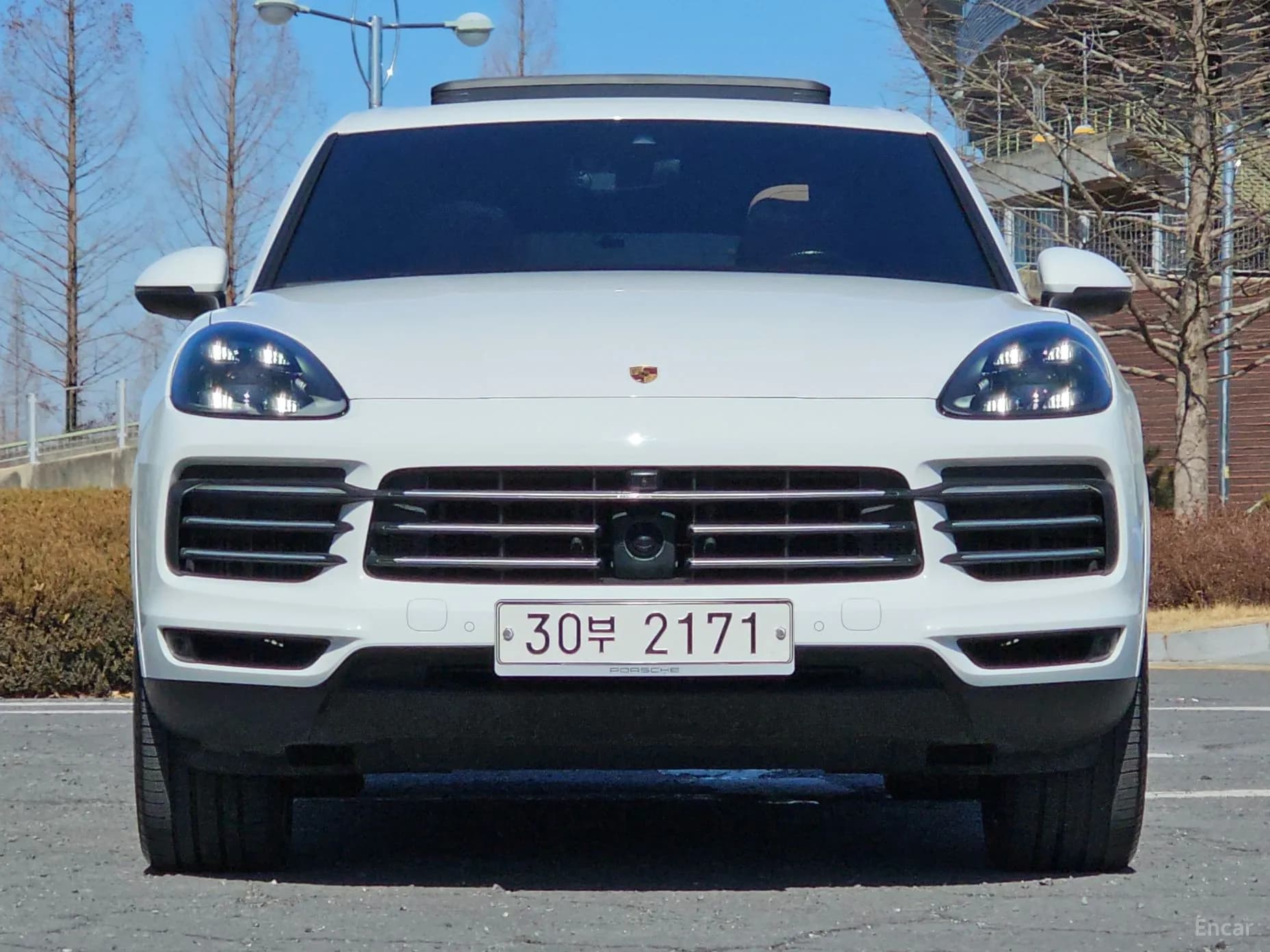 Cayenne (PO536)