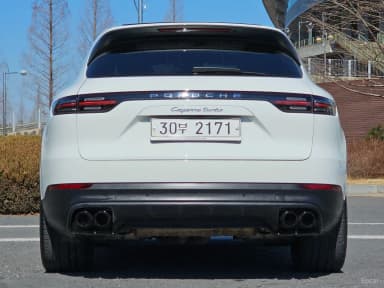 Cayenne (PO536)