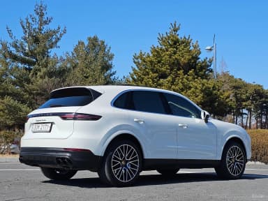 Cayenne (PO536)