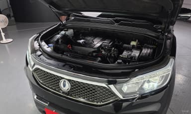 G4 Rexton